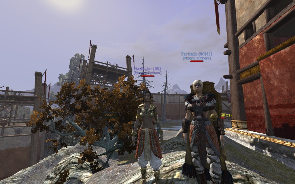 Maitaujui_picture184